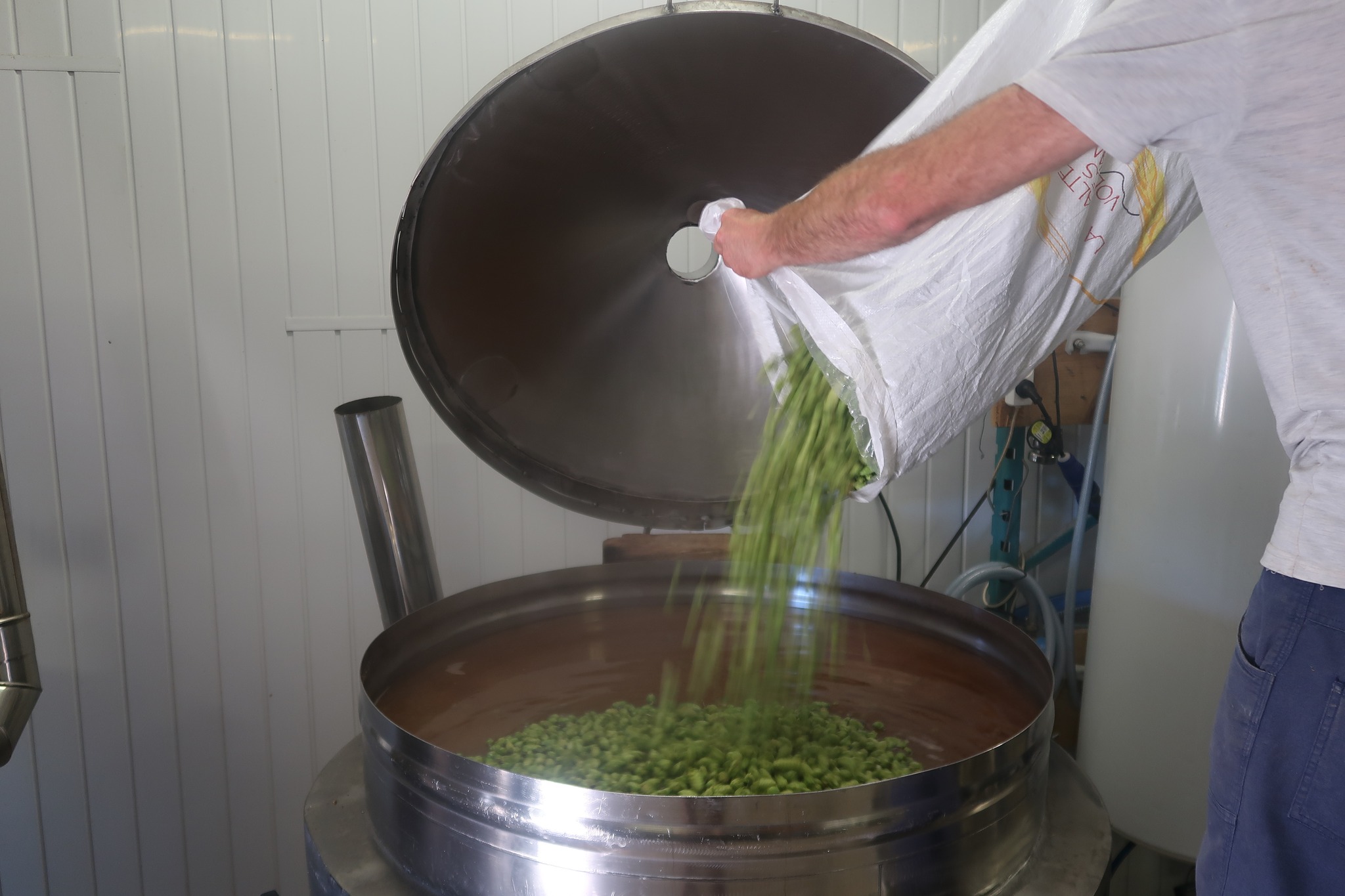 24h du houblon frais - Cuve