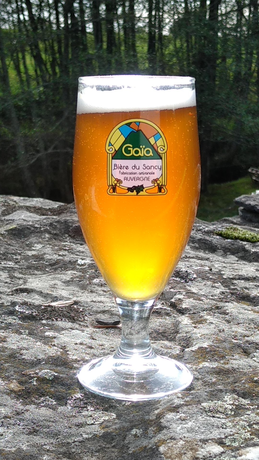 Verre Gaïa Bière du Sancy